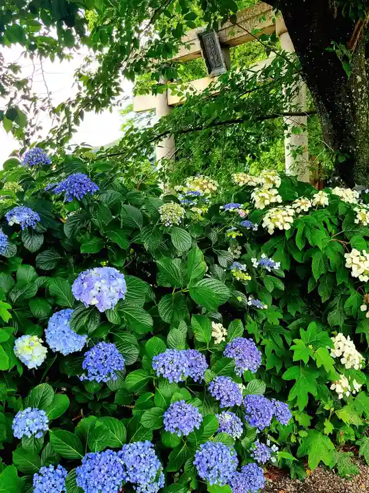 稲荷神社(愛知県)
