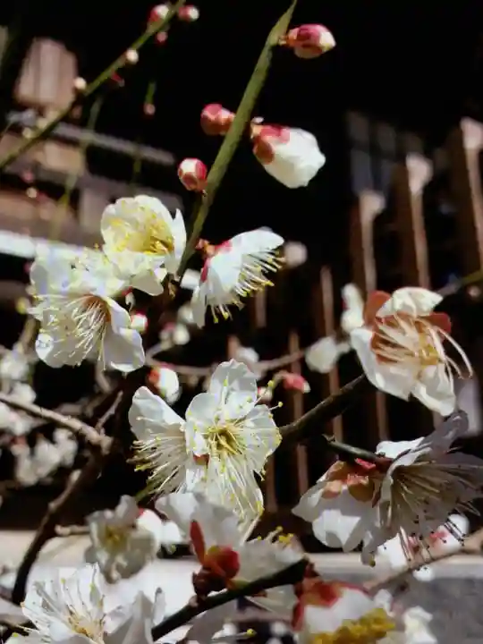 福蔵院(東京都)