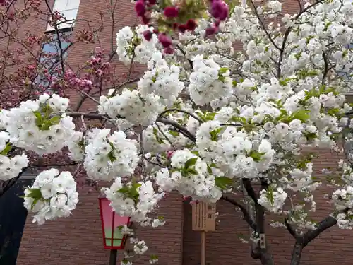 大阪天満宮(大阪府)