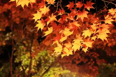 糠部神社(青森県)