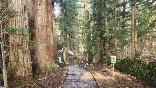 羽黒山五重塔(出羽三山神社)(山形県)