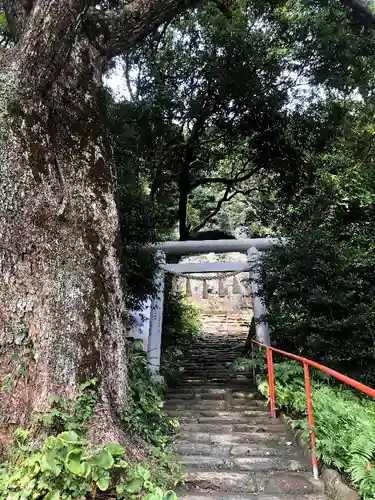 駒宮神社の鳥居