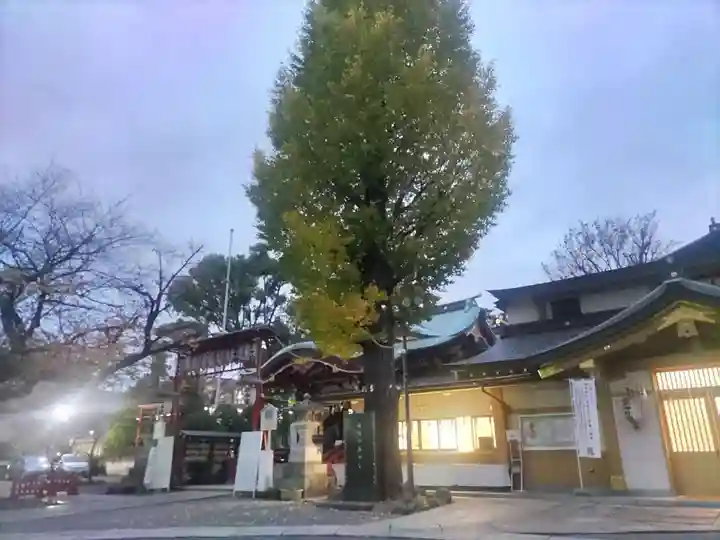 居木神社の自然