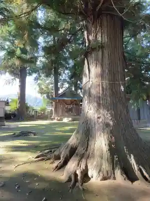 諏訪神社(長野県)