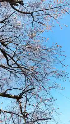 尾張猿田彦神社(愛知県)