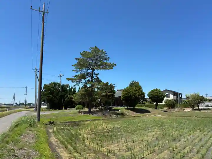 女躰神社(千葉県)