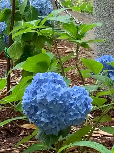 生田神社の自然
