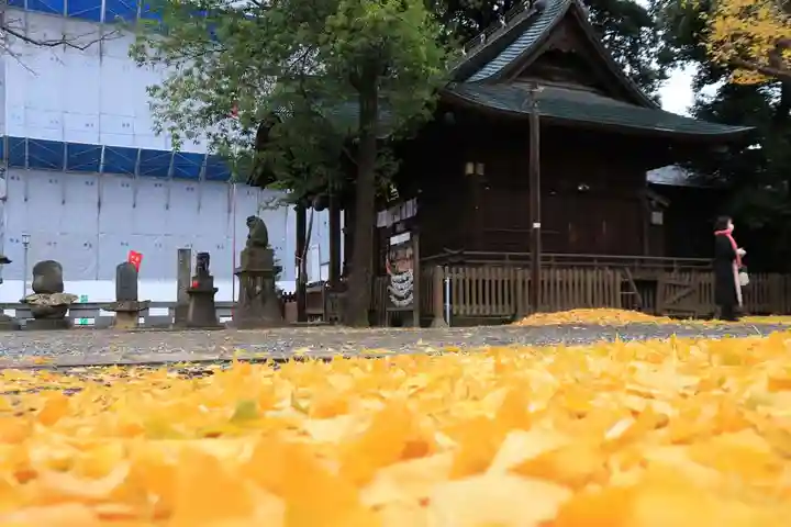 阿邪訶根神社の自然