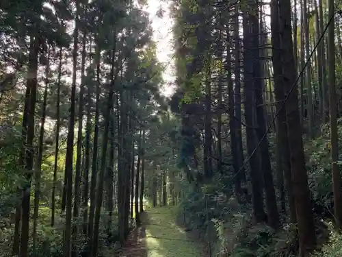 熊野神社の景色