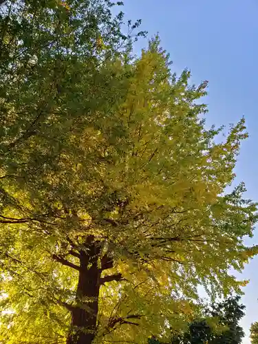 宝福寺(東京都)