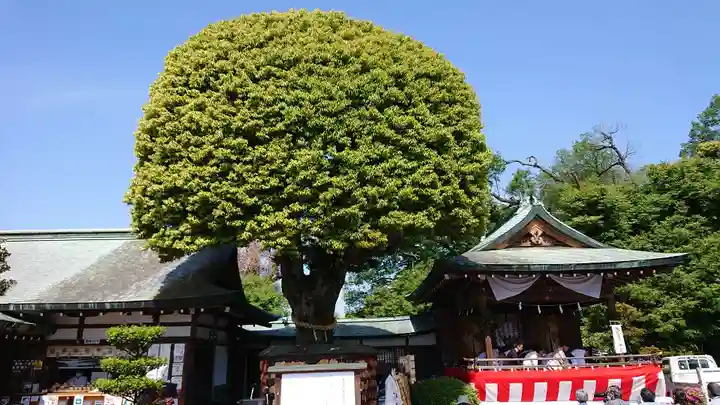 足利織姫神社(栃木県)