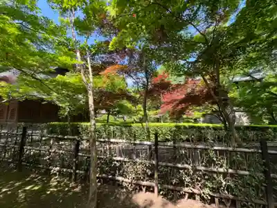 平林寺(埼玉県)