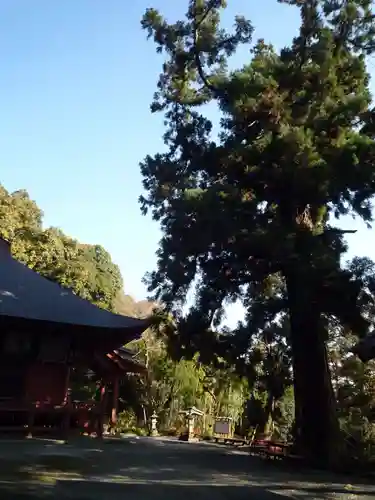 宝樹院小山寺のその他建物