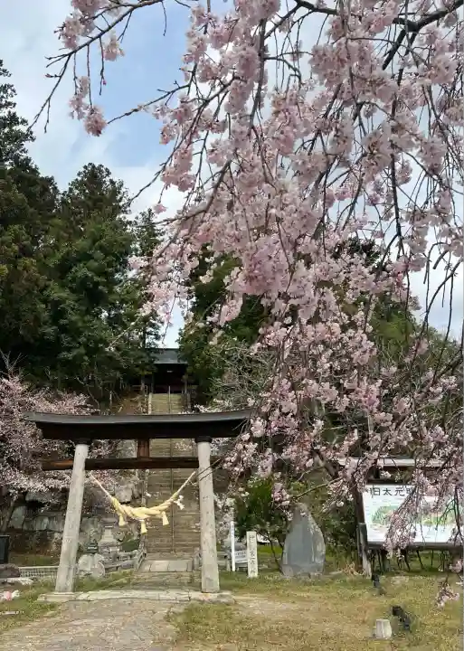 田村神社(福島県)