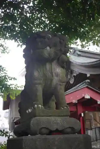 滝野川八幡神社の狛犬