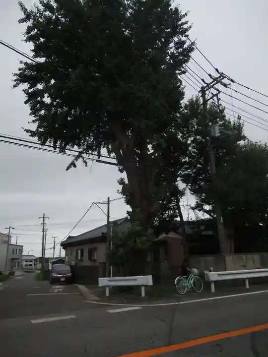 大龍寺(千葉県)