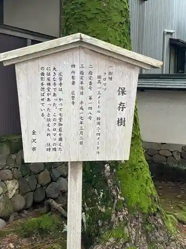 広誓寺(石川県)