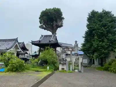 吉祥寺(愛媛県)