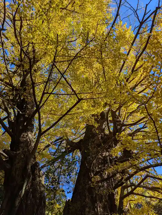 赤坂氷川神社(東京都)