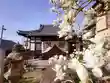 成等山 心證寺の本殿