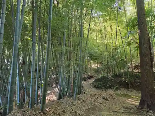 九郎明神社(神奈川県)