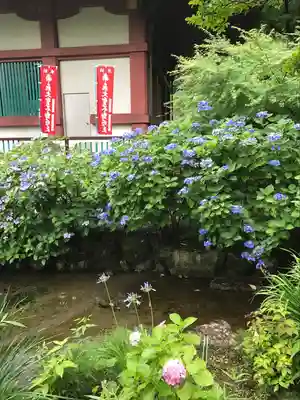 高幡不動尊　金剛寺(東京都)