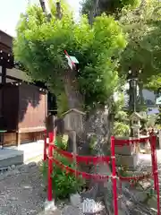 三輪神社(愛知県)