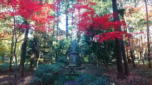 平林寺の自然