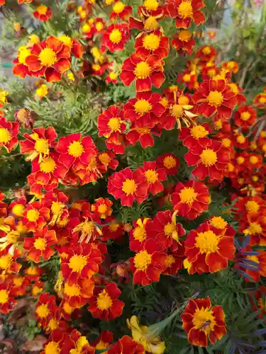岡部春日神社～👹鬼門よけの🌺花咲く🌺やしろ～(福島県)