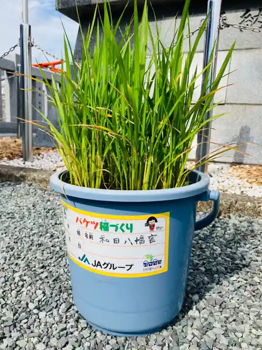 總社 和田八幡宮(福井県)