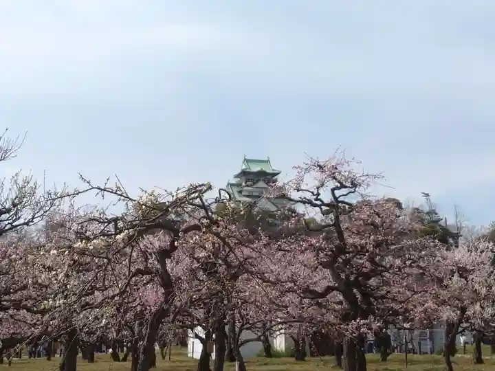 豊國神社の自然