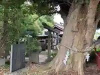 生實神社の鳥居