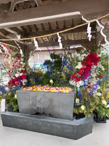 金蛇水神社の{uncategorized: "未分類", other: "その他", undefined: "問題あり", building: "その他建物", grave: "お墓", sacred_gate: "鳥居", guardian: "狛犬", statue: "像", buddha: "仏像", history: "歴史", nature: "自然", garden: "庭園", animal: "動物", pagoda: "塔", temizu: "手水舎", mountain_gate: "山門・神門", sanctuary: "本殿・本堂", subordinate: "末社・摂社", art: "芸術", scenery: "景色", jizo: "地蔵", ema: "絵馬", goshuin: "御朱印", omikuji: "おみくじ", items: "授与品その他", amulet: "お守り", goshuincho: "御朱印帳", eats: "食事", festival: "お祭り", votive_dance: "神楽", shichigosan: "七五三参", wedding: "結婚式", experience: "体験その他", initially: "初詣", around: "周辺", anti_infection: "感染症対策"}
