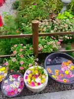 埼玉厄除け開運大師・龍泉寺(切り絵御朱印発祥の寺)の手水舎