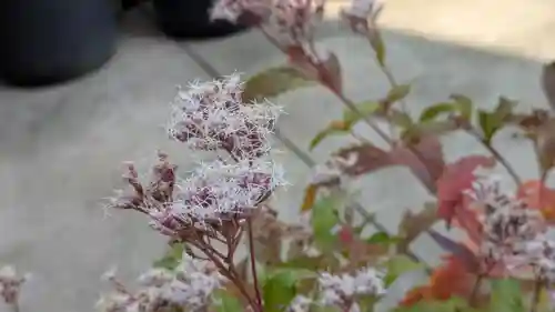 行願寺（革堂）(京都府)