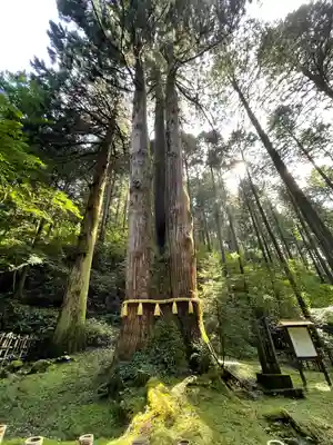 御岩神社(茨城県)