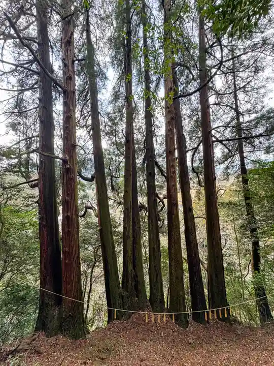 天岩戸神社(宮崎県)