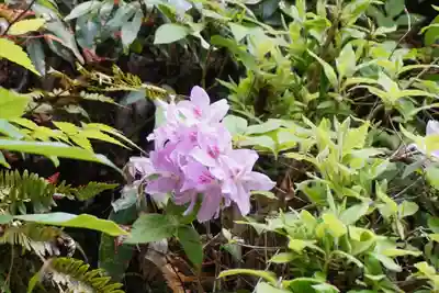 𠮷水神社(吉水神社)(奈良県)