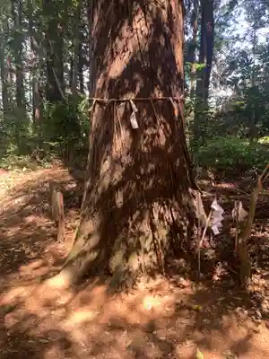 皇太神社(千葉県)
