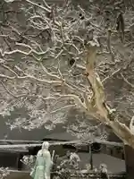 稱名寺(京都府)