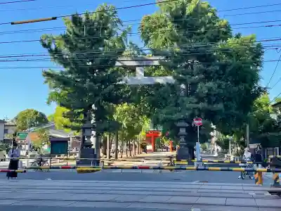 葛飾八幡宮の{uncategorized: "未分類", other: "その他", undefined: "問題あり", building: "その他建物", grave: "お墓", sacred_gate: "鳥居", guardian: "狛犬", statue: "像", buddha: "仏像", history: "歴史", nature: "自然", garden: "庭園", animal: "動物", pagoda: "塔", temizu: "手水舎", mountain_gate: "山門・神門", sanctuary: "本殿・本堂", subordinate: "末社・摂社", art: "芸術", scenery: "景色", jizo: "地蔵", ema: "絵馬", goshuin: "御朱印", omikuji: "おみくじ", items: "授与品その他", amulet: "お守り", goshuincho: "御朱印帳", eats: "食事", festival: "お祭り", votive_dance: "神楽", shichigosan: "七五三参", wedding: "結婚式", experience: "体験その他", initially: "初詣", around: "周辺", anti_infection: "感染症対策"}