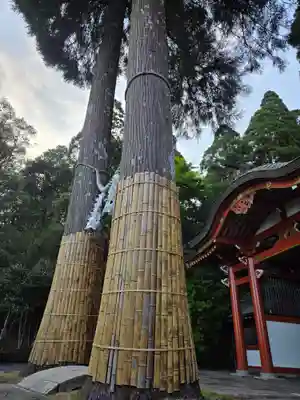 霧島東神社(宮崎県)