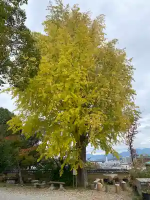 盛松寺(大阪府)