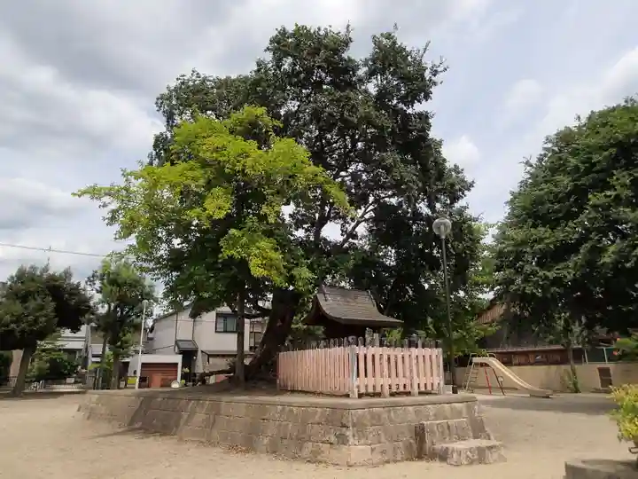 小森社(賀茂別雷神社末社)の景色