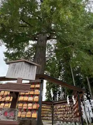 秋保神社(宮城県)