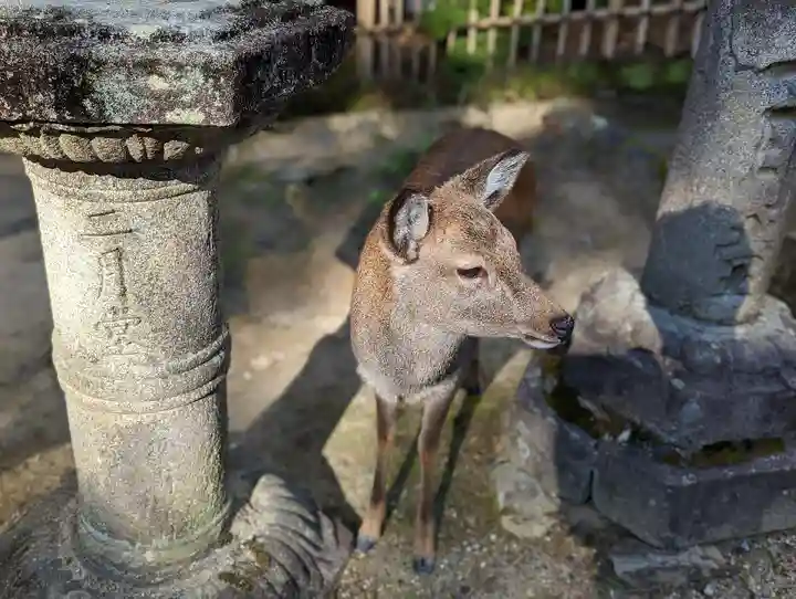 東大寺 二月堂(奈良県)