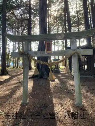 三神社(長野県)