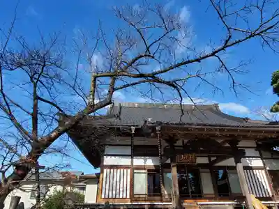 妙林寺の本殿・本堂