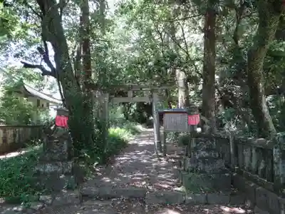 秦神社(高知県)