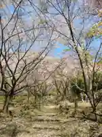 泰運寺(三重県)